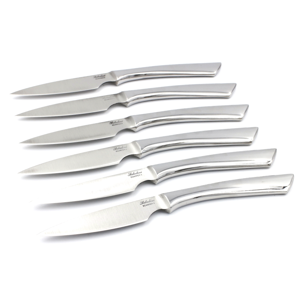 saladini steakmessenset 6 delig 22cm rvs